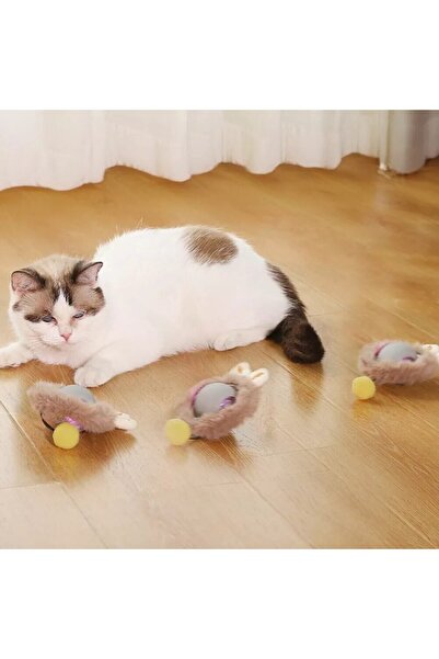 miraza Interactive cat toy, Smart ball that moves on its own, USB-C, Brown