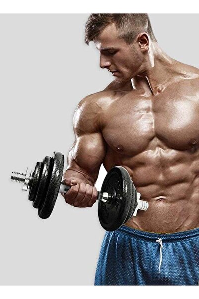 EGG Painted Dumbbell Set 20KG – Durable Home Gym Weights