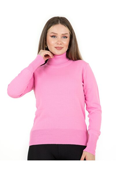 Sortie Turtleneck Basic Sweater Pink