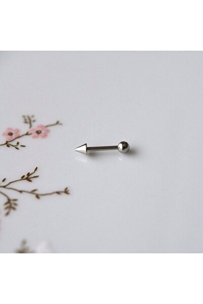 Heppii Cerrahi Çelik Sivri Uçlu Tragus Piercing Helix Kıkırdak 8 mm Gümüş Ren...