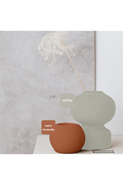 WHY NOT Uplifting Multisurface Kendinden Vernikli Akrilik Boya 250ML