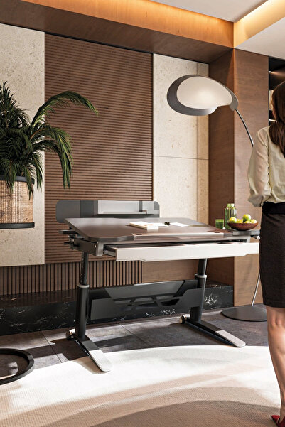 Creo Mobili Sirius Standart Dinamik Çalışma Masası Yükseklik Ayarlı ve Eğimli Masa - 120x75 Cm, Antrasit/Gri