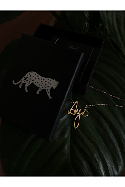 Alldo Jewelry İsim Gümüş Gold Kaplama Kolye 925 Ayar