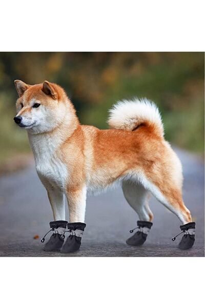 Genel Markalar Köpek Ayakkabı Yumuşak Kapalı ve Açık Yürüyüş Koşu Eğitim Için 4 Adet