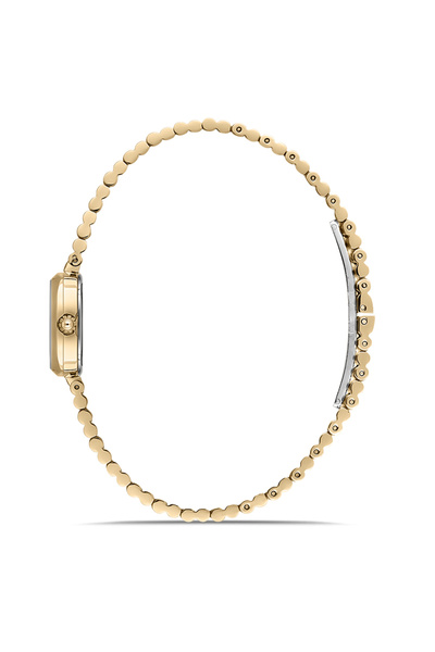 Momentus Cw317G-08Sg Women's Wrist Watch