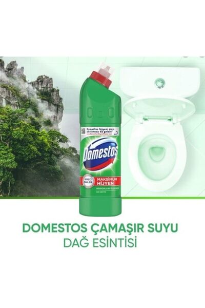 Domestos Çamaşır Suyu Dağ Esintisi 750 ml x2 Adet