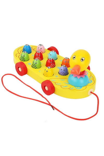 Toyska Rata de tras din lemn cu joc de Pescuit Magnetic, multicolor