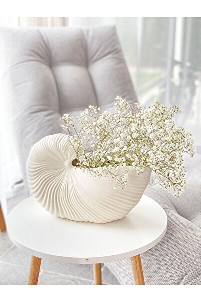 Lui Tasarım مزهرية حلزون بلون كريمي مقاس XL 25*17 سم من السيراميك، مزهرية عصرية أنيقة لتزيين غرفة المعيشة والمنزل والفندق