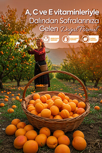 Zühre Ana Kayısı Özü 640 Gr