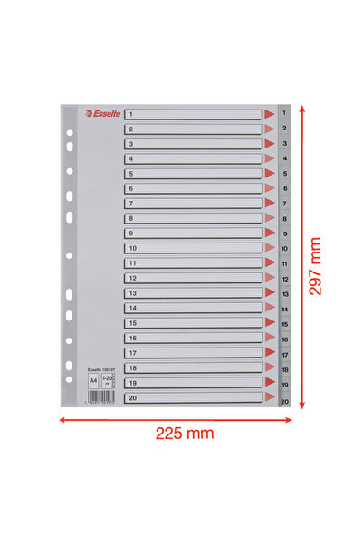 Esselte A4 index numbered 1-20