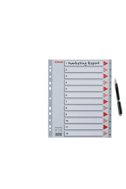 Esselte index, plastic, , A4 MAXI, 1-12, grey