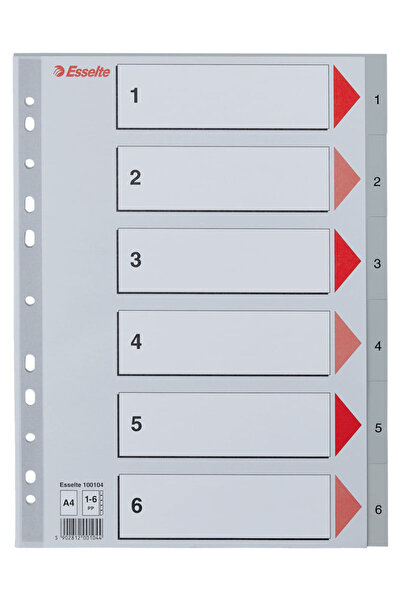 Esselte index, plastic, , A4, 1-6, grey