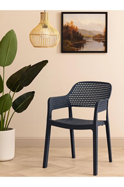 regnum plastik London Antrasit İç Mekan Cafe, Restorant, Mutfak Sandalyesi