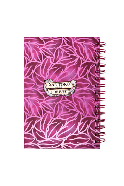 Santoro Gorjuss Gorjuss Diary Dancing On Air