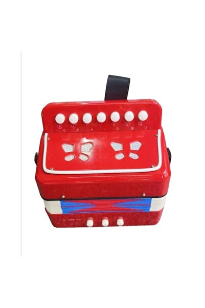 OEM Acordeonul PlayMusic Series