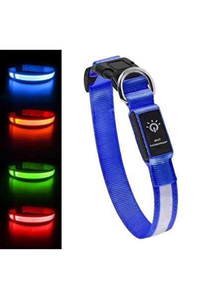 zioda smart essentials Zgardă LED pentru câini, zioda smart essentials®, reîncărcabilă USB-C, impermeabilă IPX7, mărime reglabilă