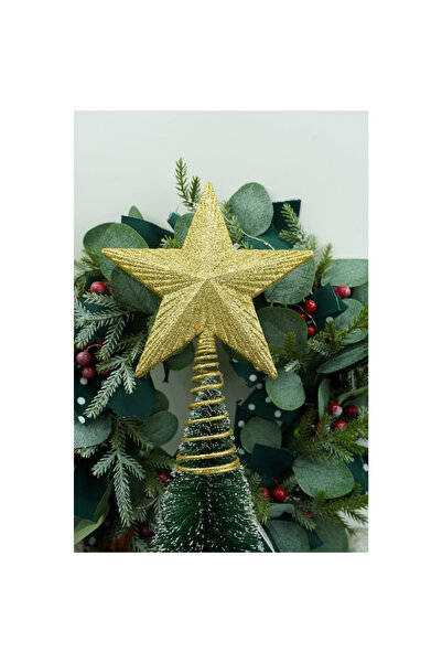 Toolsy Buton decorativ pentru brad de Crăciun, auriu, formă de stea, cu design în relief, plastic/metal, 15,5 cm x 2
