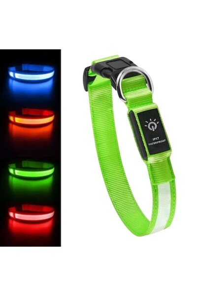 zioda smart essentials Zgardă luminoasă cu LED pentru câini, Zioda Smart Essentials®, reglabilă, reîncărcabilă prin USB-C, impermeabilă