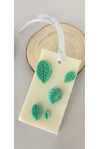 M.X.M. by Oana Art Mountain pampering 🌿🌲✨Closet air freshener