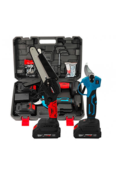 DDT Set foarfeca electrica & mini-drujba cu 2 acumulatori DDT-CRISTAL, 24 V, 2 Ah, incarcator, accesorii