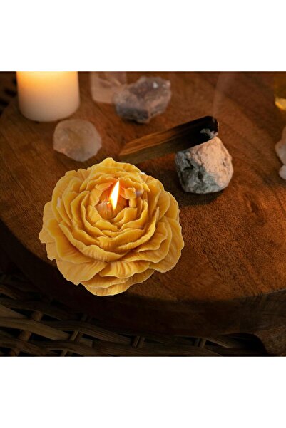 Flippy Scented Candle Rose Model, 10h Burn Time, 70 g, 7.5x3.5 cm, Citrus Scent, Orange