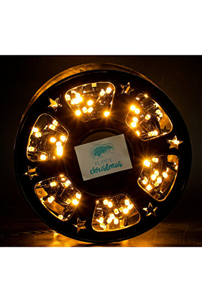 Flippy Instalatie Craciun liniara cu transformator, 50m, alb cald, 500 LED-uri, fir negru, 8 jocuri de lumi