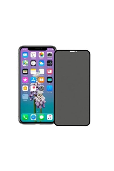 OEM Protector de ecran de înaltă calitate, anti-spionaj, pentru iPhone X, negru