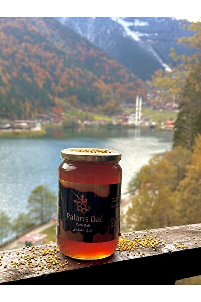 ÇAM BALI (500 GR)