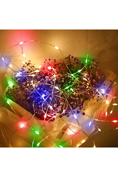 Flippy Instalatie de Craciun Yoto, liniara, cu 100 micro LED-uri, 10 m, 220V,...