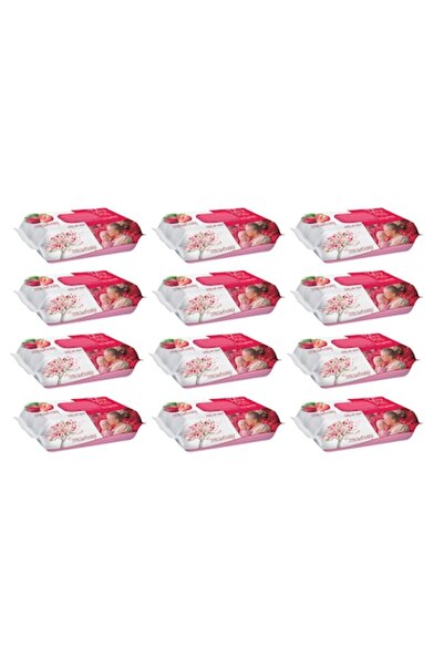 Sleepy Set șervețele umede STRAWBERRY 12 pachete x 120 buc