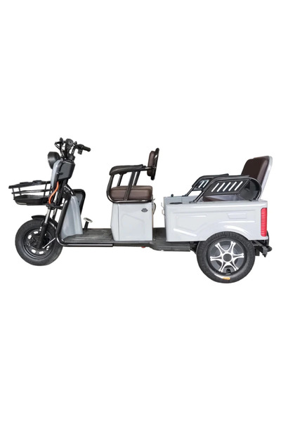 Wertcraft Tricicletă Electrică TW-FC – Fără Permis, Viteză max. 25 km/h, 1000...