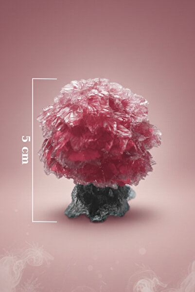 NehirTaş Sertifikalı Pembe Kuvars Doğal Taşlı Para Ağacı