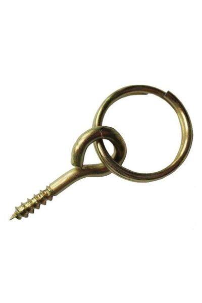 Euro Narcis Agătătoare cu inel, pentru tablou, oțel, zincat auriu, 10 mm