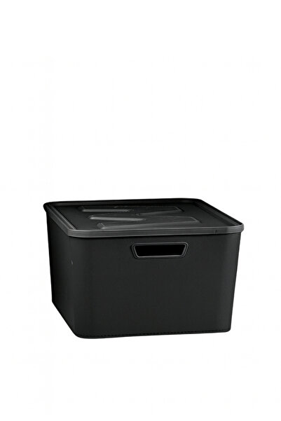 HOMİNG Чорний 14 LT Організатор Багатофункціональна коробка для зберігання 242304