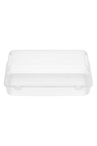 ANTBRO ® Plastic Storage Box with Ventilation Holes for Shoes, 30.5x18.6x10 cm
