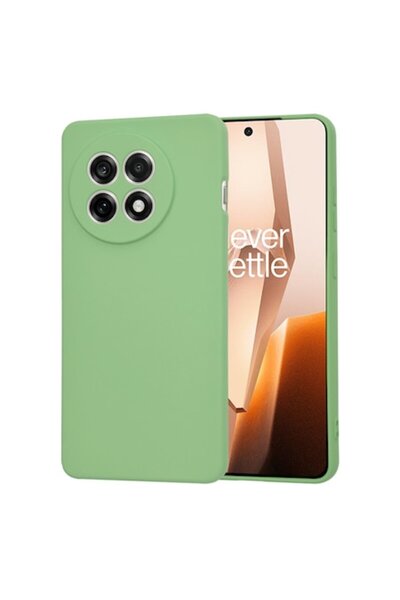Danex Protective Case for OnePlus 13R, S38, Fabric, Mint Lucky Green
