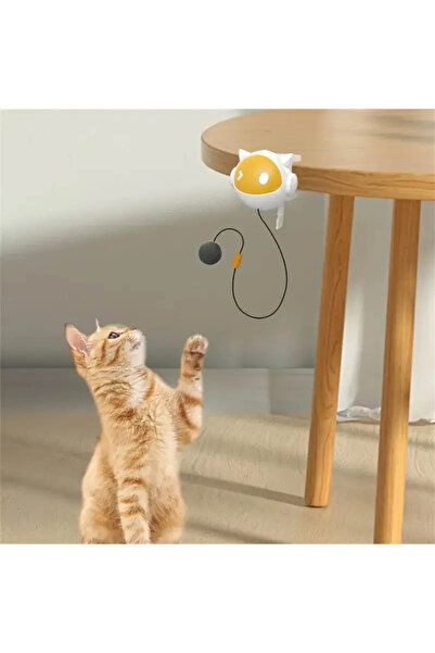 Lady Fify Automatic Moving Ball Toy for Cat and Dog