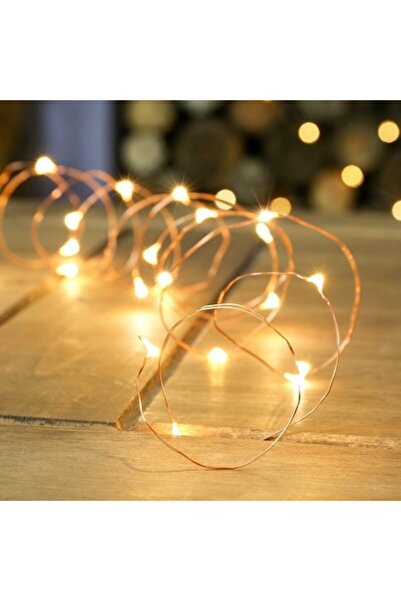 Danex Christmas Installation, Linear, 2m, Batteries, 20 LEDs, Warm White, Copper Wire, Indoor/Outdoor