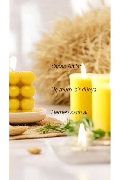 TROYA ARICILIK GIDA Bubble Balmumu