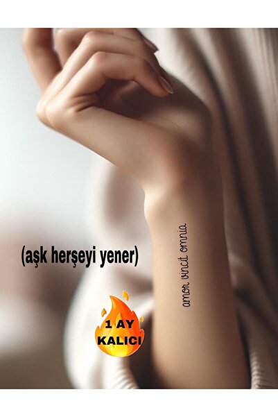 Mecit Tuhafiye 1 AY KALICI MİNİMAL YAZIBİLEK KOL VUCUT İÇİN GEÇİCİ DÖVME