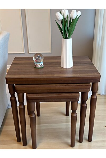 AYSA Mobilya 3Lü Ceviz Ceviz Lüx MDF Ahşap Zigon Sehpa