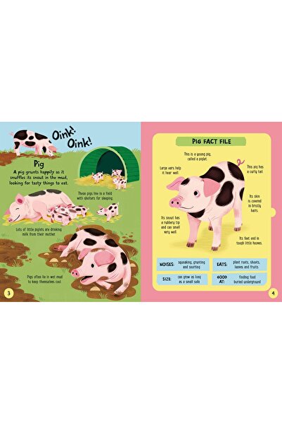 Usborne Puzzle book for children