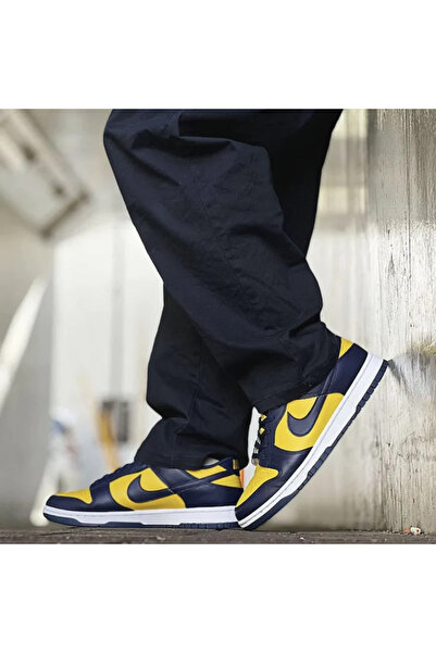 Nike Данк Лоу Мічиган (GS) - cw1590 700