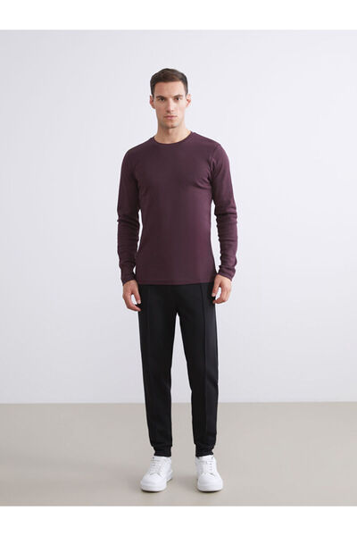 LC Waikiki Sparkling Selections from Shining Store | Crew Neck Men's Sweatshirt