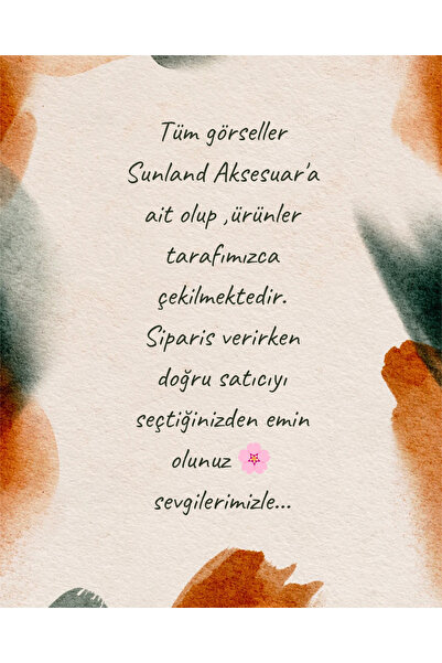 Sunland Kadın Takı Silver Renk Zirkon Taşlı V Model Şık Günlük Çelik Küpe