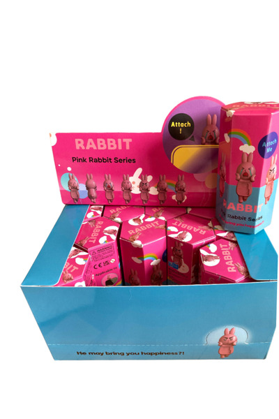 Sonny Angel decorative mini figur rabbit series