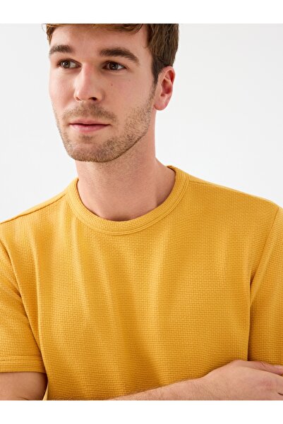 Loft Regular Fit Men's Tshirt Arm sleeve