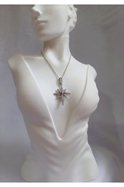 Cachee2025 Gösterişli Taşlı Yıldız Gümüş Renk Kadın Kolye – Parlayan Tasarım