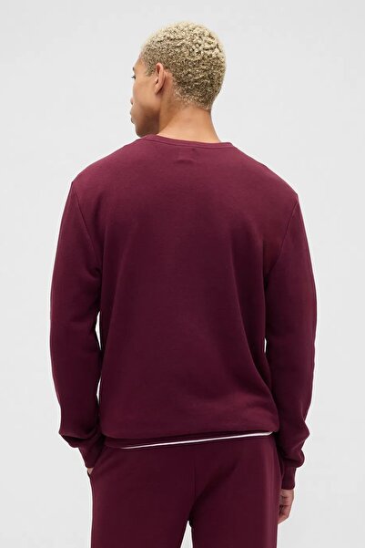 GAP V-Lw Db Fleece Erkek Sweatshirt