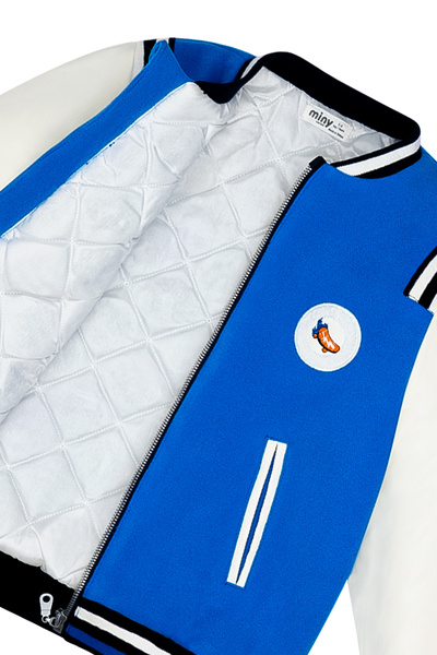 Miny Center Arma Embroidered Sleeves Faux Leather Cashmere College Jacket